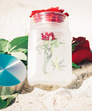 Load image into Gallery viewer, Sireness Stash Jars